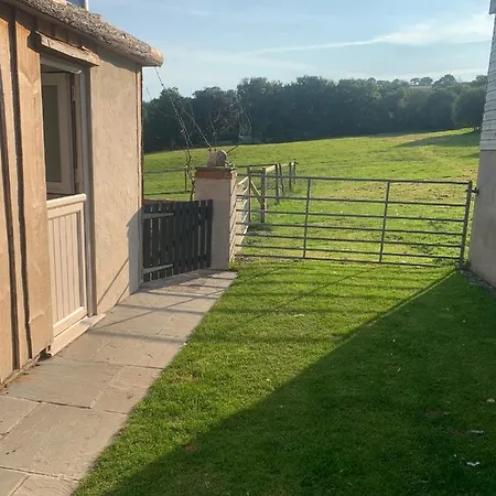 Molehill Lodge Swansea Exterior photo
