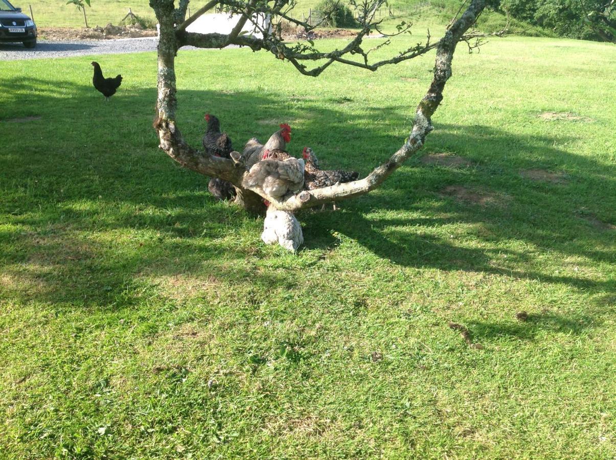 Appartement Molehill Swansea